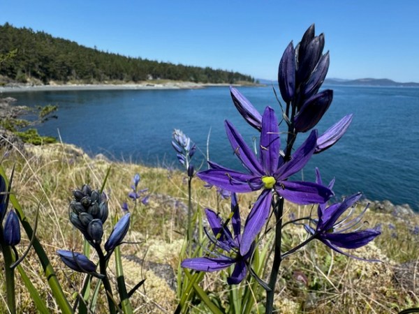 A visit to the&nbsp;Island