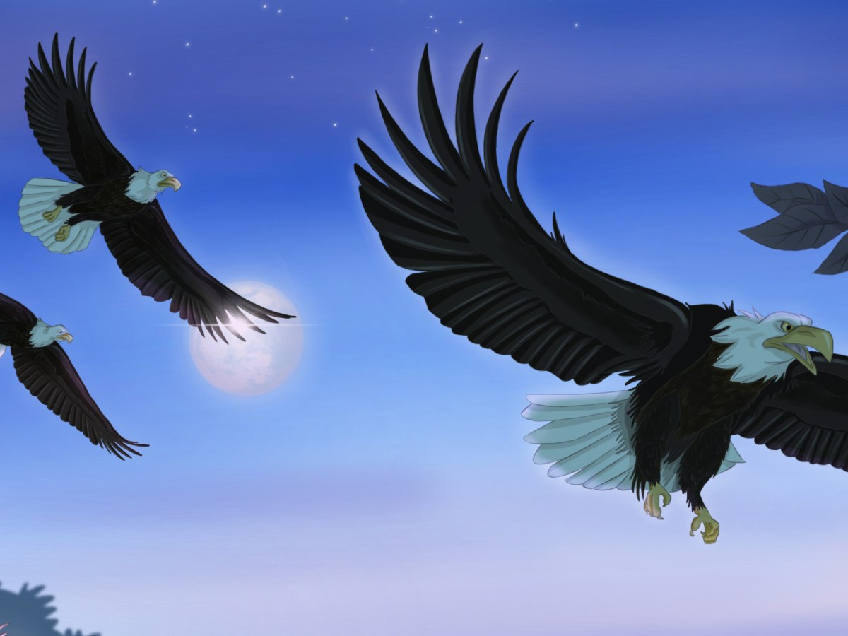 Meet the Villains Part 1: the Winged&nbsp;Outlaws