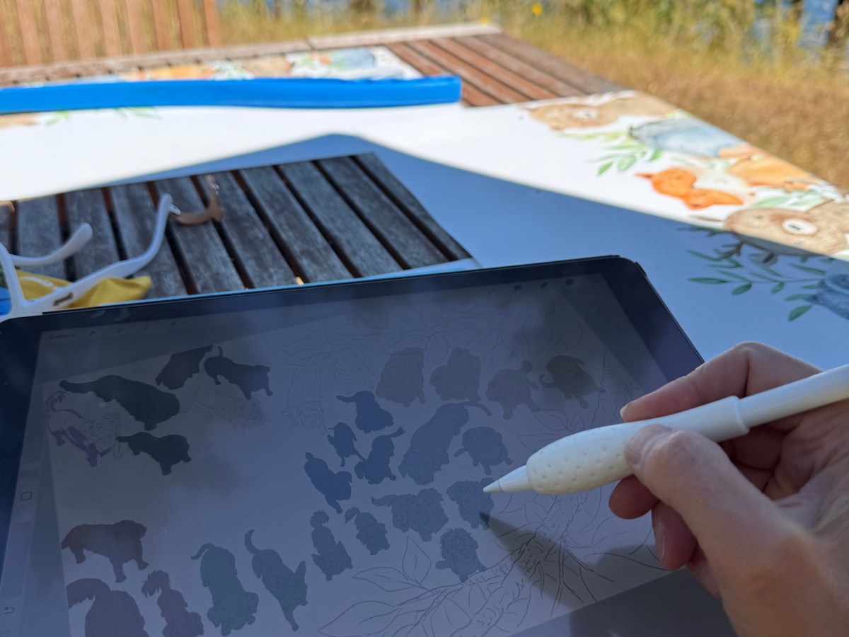 Ball Fetching Must&nbsp;Wait